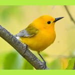 Call From The Sea To A Plateau