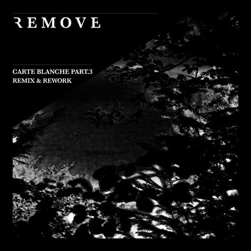 Carte Blanche, Pt. 3: Remix & Rework