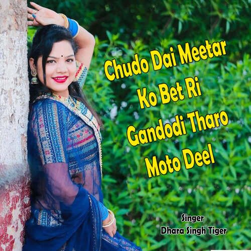 Chudo Dai Meetar Ko Bet Ri Gandodi Tharo Moto Deel