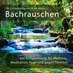 Die Entspannungsmusik der Natur: Bachrauschen zur Entspannung, für Wellness, Meditation, Yoga, gegen Tinnitus
