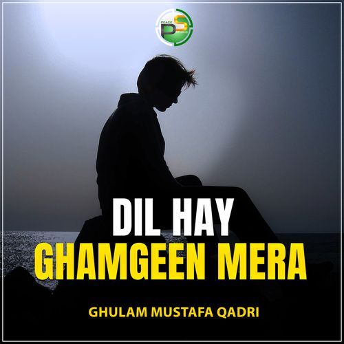 Dil Hay Ghamgeen Mera