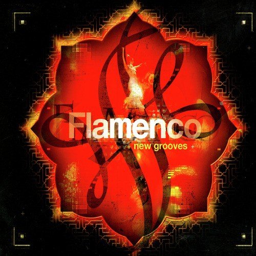 Flamenco New Grooves