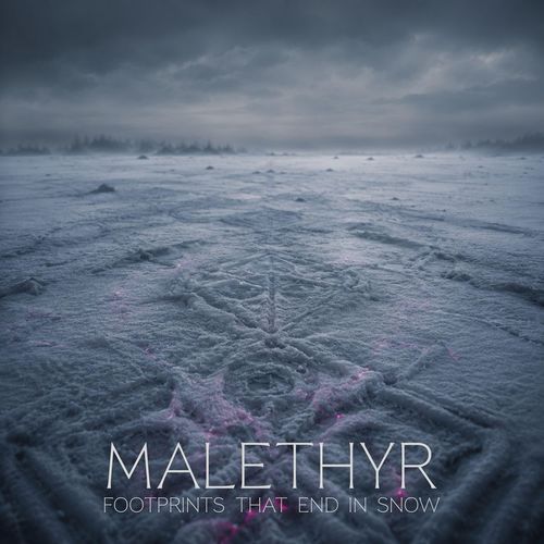 Echoes Under White Sky