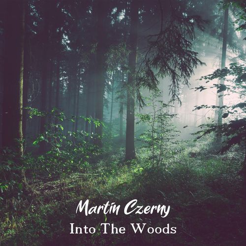 Into the Woods