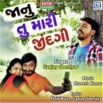 Janu Tu Mari Zindagi