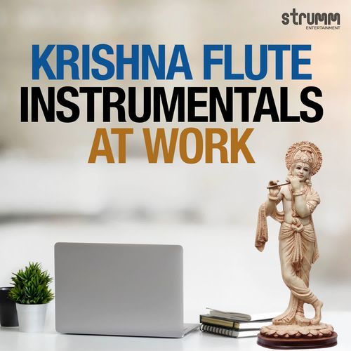 Krishna Instrumentals At Work