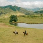 तेरी तलाश में