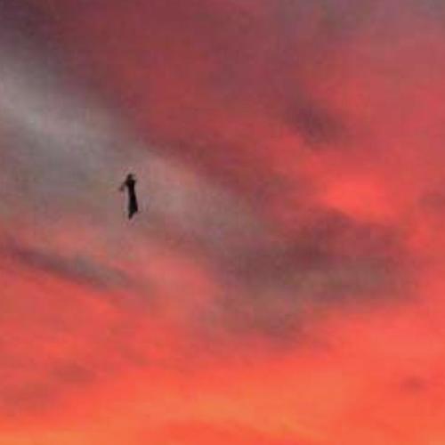 Michelle cover art