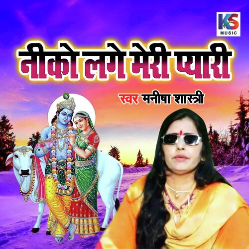 Niko Lage Meri Pyari cover art