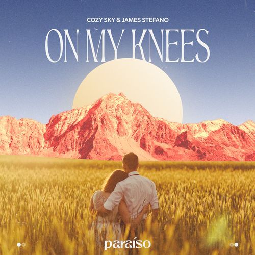 On My Knees_poster_image