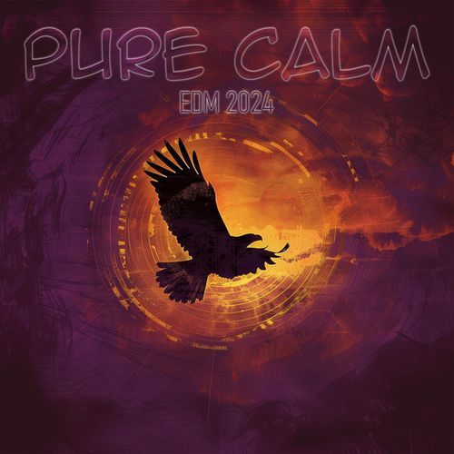 Pure Calm EDM 2024