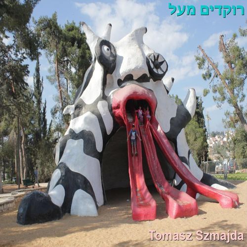 רוקדים מעל הזמן