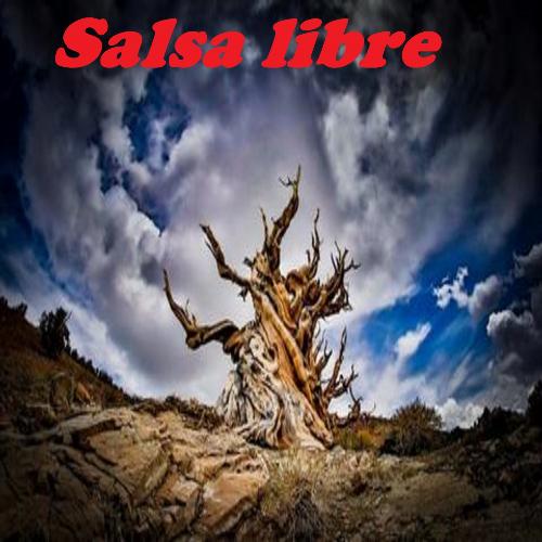 Salsa libre