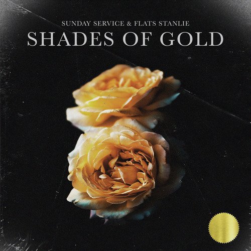 Shades of Gold_poster_image