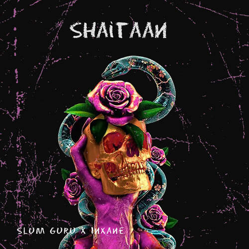 Shaitaan