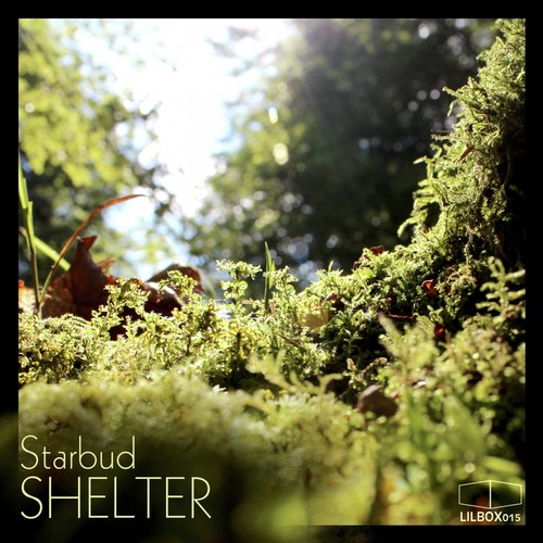 Shelter_poster_image