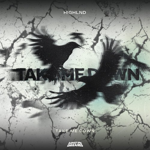 Take Me Down_poster_image