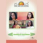 Alakh Niranjan