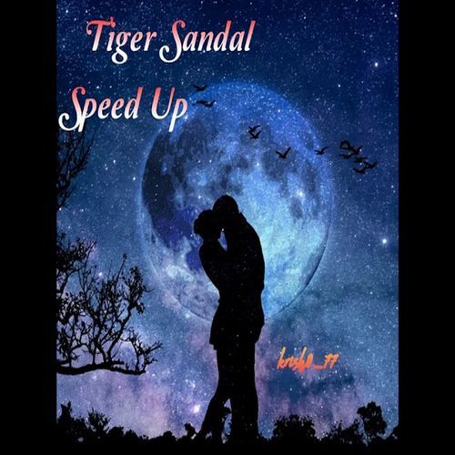 Tiger Sandal (Speed Up)