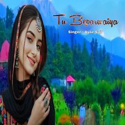 Tu Beparwaiya