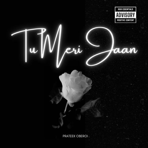 Tu Meri Jaan_poster_image