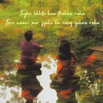 Mai Aksar Tumhari Tasveer Se