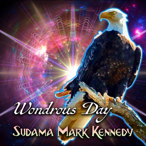 Wondrous Day_poster_image