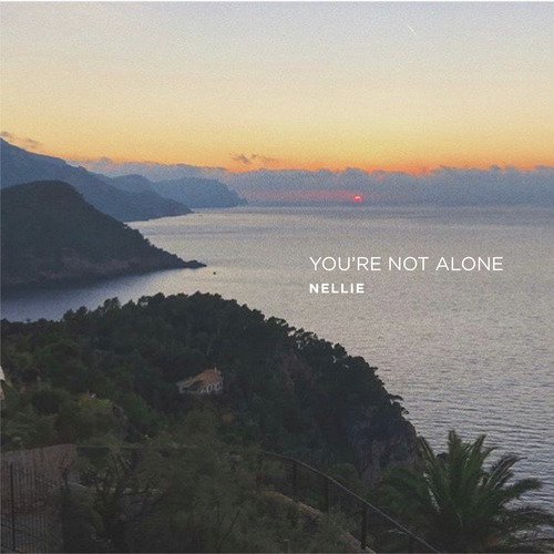 You&#039;re Not Alone_poster_image