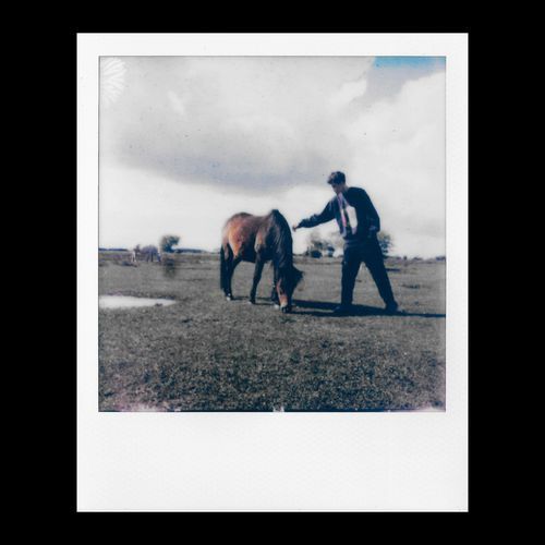 i won't do it (again)