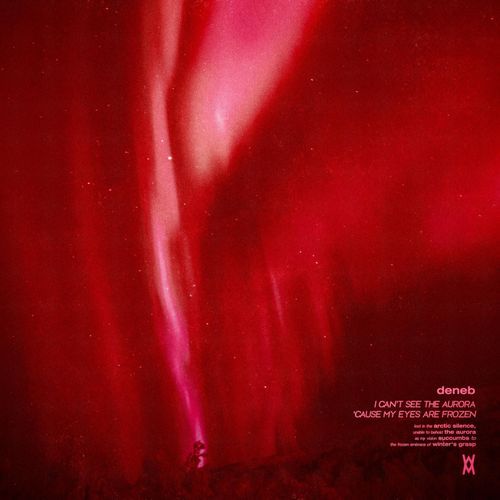 i can't see the aurora 'cause my eyes are frozen