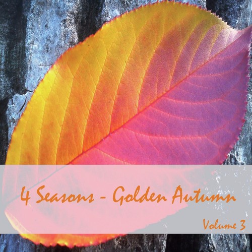 4 Seasons - Golden Autumn, Vol. 3