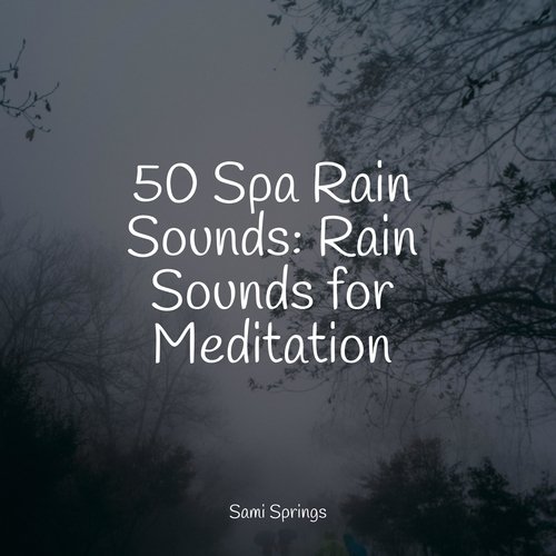 50 Spa Rain Sounds: Rain Sounds for Meditation_poster_image