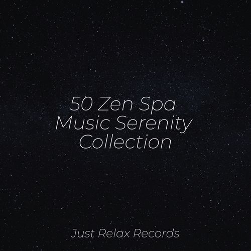 50 Zen Spa Music Serenity Collection_poster_image