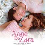 Aane Do Zara