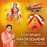 Chintapurni Maa Da Sewadar