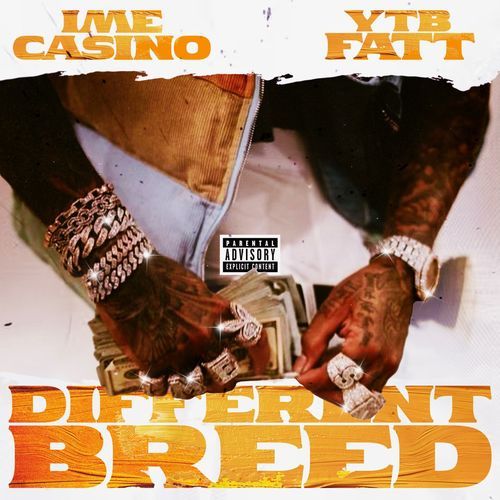 Different Breed (feat. YTB Fatt)_poster_image