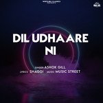 Dil Udhaare Ni