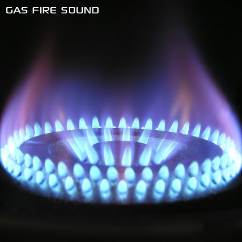 Gas Fire Sound (feat. Discovery White Noise, White Noise Sleep Sounds, Comfortable Fireplace Sounds, Sounds Nature & White Noise Sounds FX)_poster_image