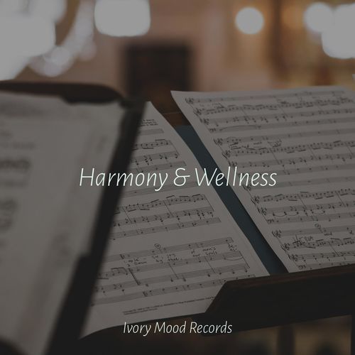 Harmony & Wellness