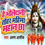 He Bholedani Tohar Mahima Mahan Chha