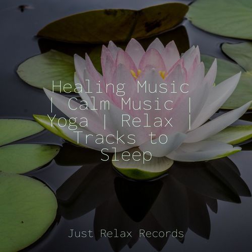 Healing Music | Calm Music | Yoga | Relax | Tracks to Sleep