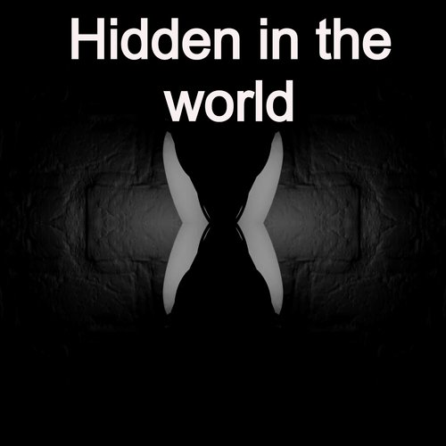 Hidden in the World