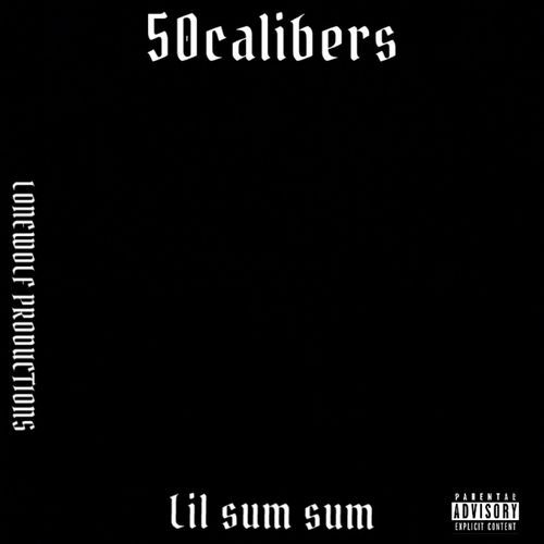 Lil Sum Sum Intro cover art