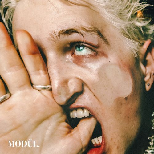 SYREN cover art