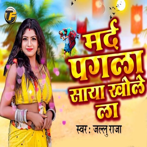 Mard Pagla Saya Khole La
