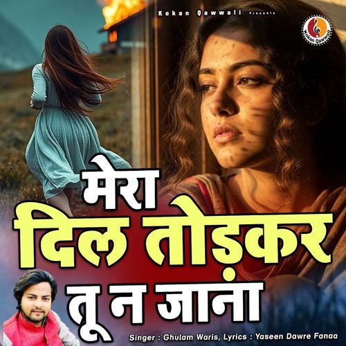 Mera Dil Todkar Tu Na Jana