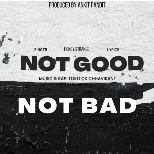 NOT GOOD NOT BAD_poster_image