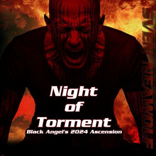 Du hast geliebt cover art