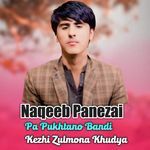 Pa Pukhtano Bandi Kezhi Zulmona Khudya