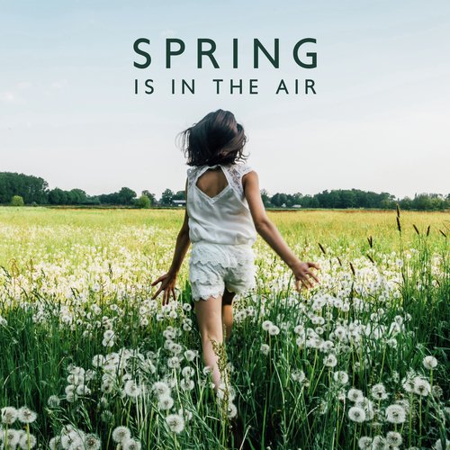 Peace cover art